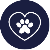 UAG School of Medicine Before You Arrive