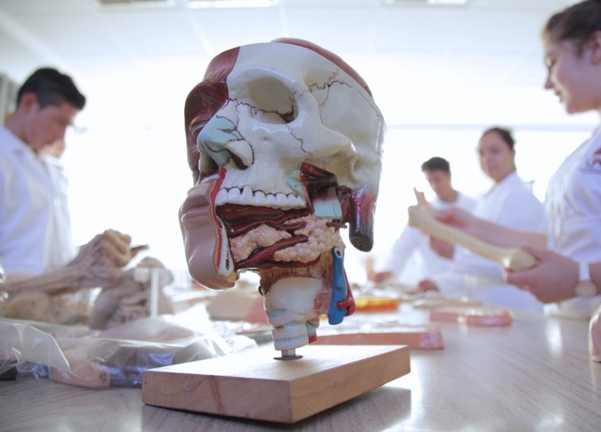 UAG School of Medicine Admission Requirements