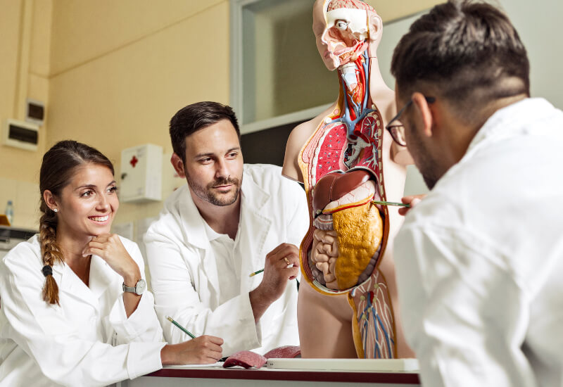 Internal medicine doctors