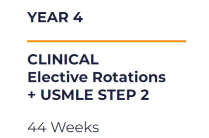 UAG School of Medicine I Your Pathway to Residency Success Starts at UAG | UAG